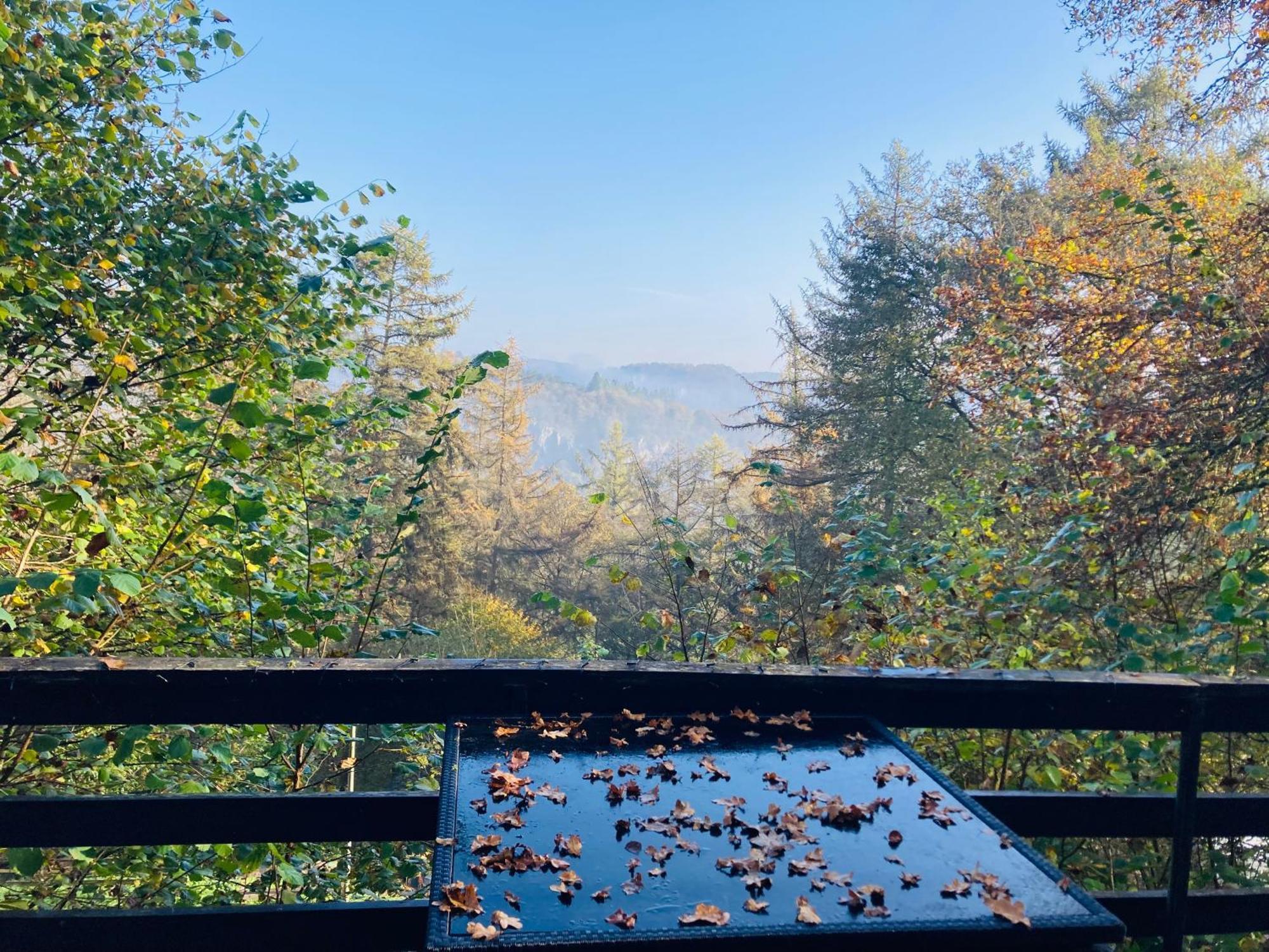 Woody Lodge - Duplex Nature Bonsoy Ardennes Hastiere-par-dela Buitenkant foto