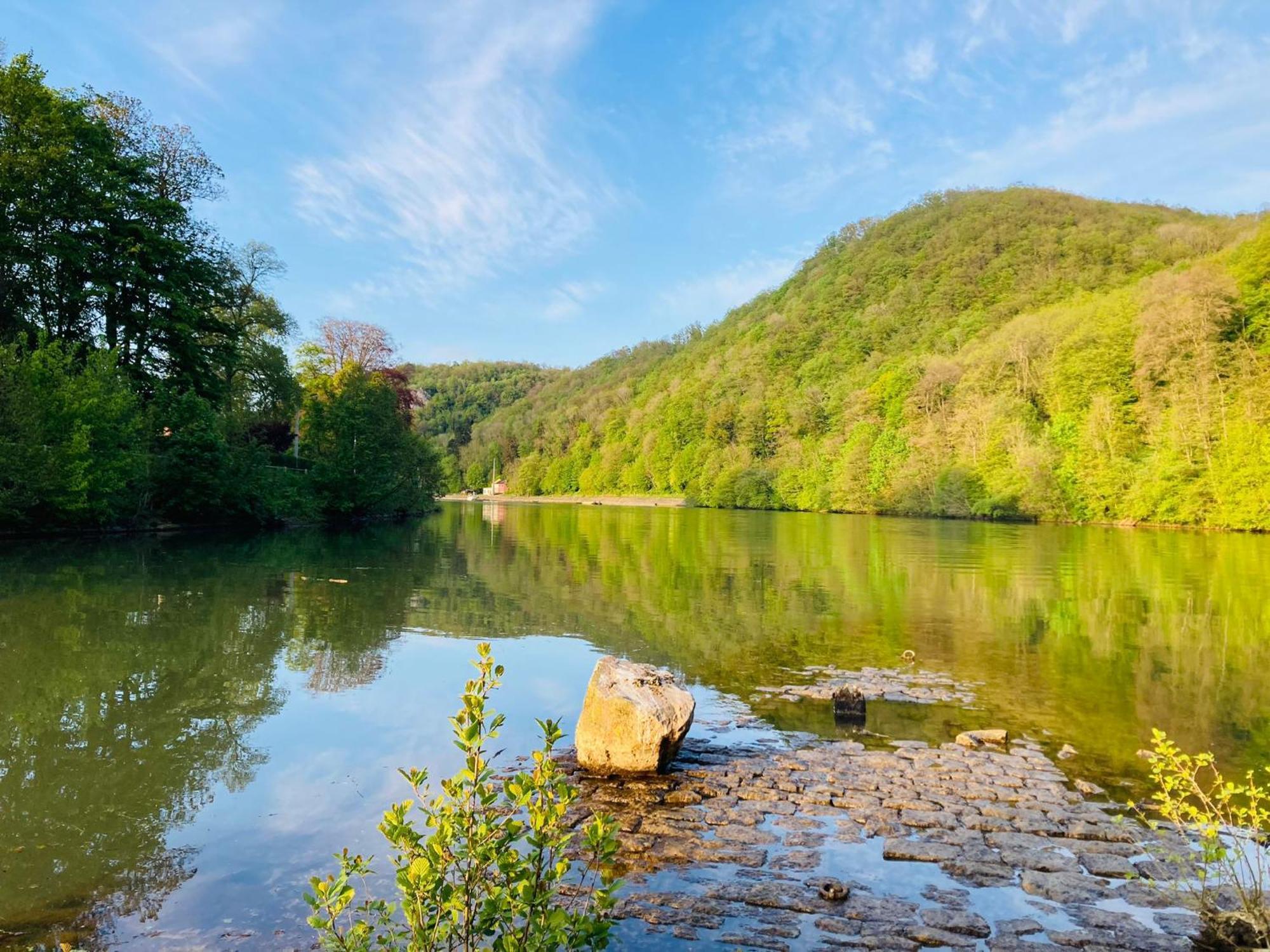 Woody Lodge - Duplex Nature Bonsoy Ardennes Hastiere-par-dela Buitenkant foto
